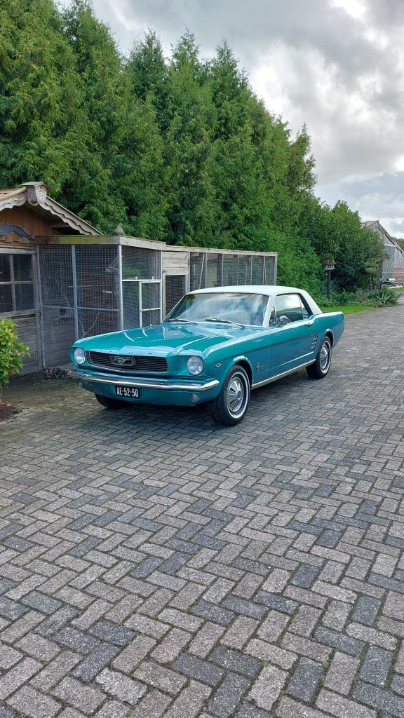Gea Brouwer  -  Ford Mustang 1966